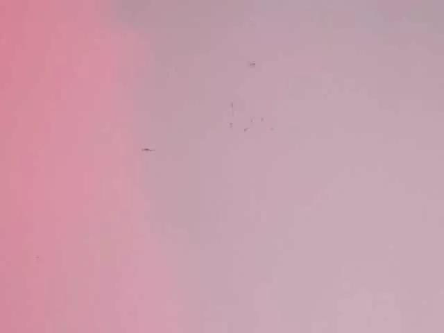 Watch Pamela-Velvet, she wants to masturbate for you Pamela-Velvet from BongaCams