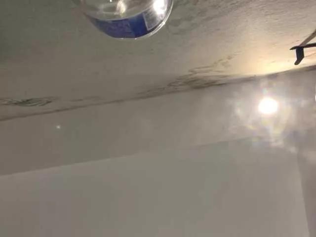 BongaCams WildBeetle WildBeetle from BongaCams