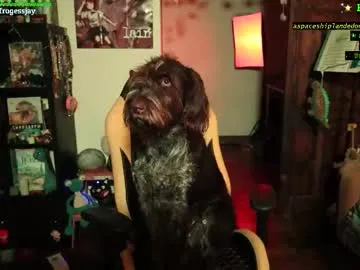 frogessjay — JAY wants a good job, plenty of excitement and reasonable reward // GOAL: VIBE CHECK [555 tokens left] #braces #hairy #cute #asian #nonude and #primal