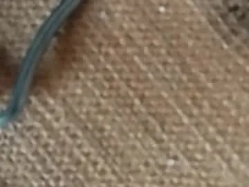 miacat73 — Miacat73's room #french #slave #submissive