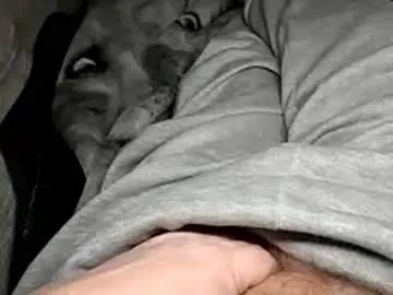 stargazor — I share my girl with other men in threesomes.. #cuckold #jerkoff #watch #penis #hairy