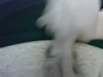 Chaturbate tinydick006 is Freechat tinydick006 — tiny dick cum show - Goal: cum #smallcock