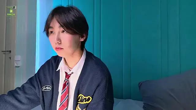 StripChat HeejinWang HeejinWang from StripChat