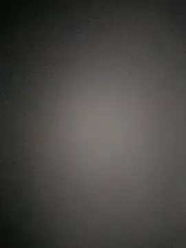 s_____e____x____1233