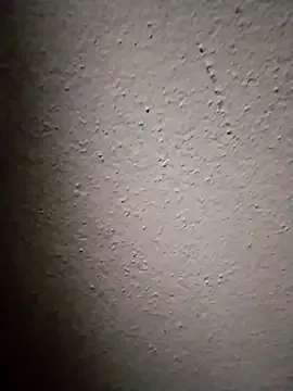 Sexbayan123 — Amma havu  kkle