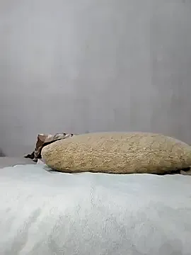 StripChat Stallion100 is Freechat Stallion100 — Cucumber Show